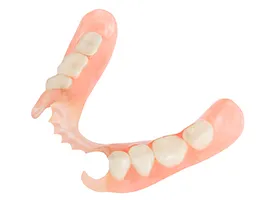 plastic partial denture